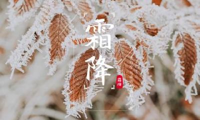 2022年霜降节气不能结婚吗？霜降日忌讳什么事情