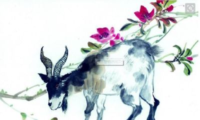 气质迷人的属羊人！