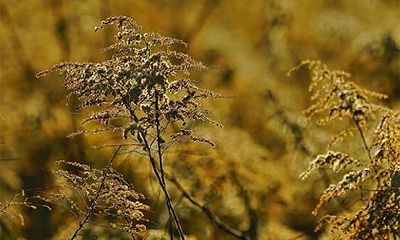 2022年农历十月二十三日子好不好？是黄道吉日吗