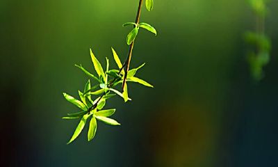 2022年夏季的阳历出殡吉日查询大全