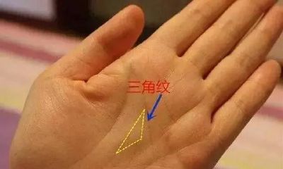 一位隐者高手传下的掌纹看命密法，很准！