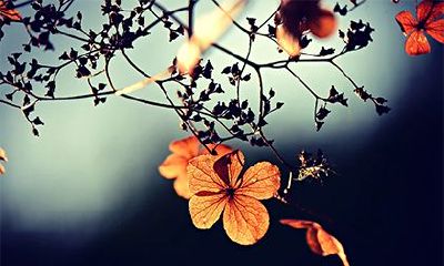 2022年农历十月廿六日是不是黄道吉日？