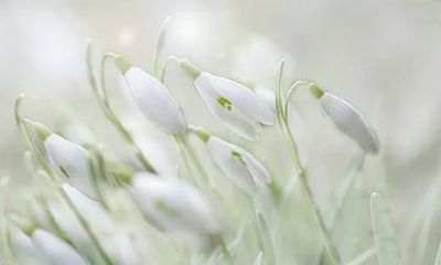 2022年农历十月二十七是吉日不？黄历宜忌查询