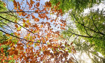 2022年农历十月三十是黄道吉日吗？今日黄历宜忌解析