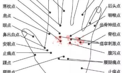 根据手掌心能看得出人体的身体状况，全方位的手诊专业知识都汇总在这儿了