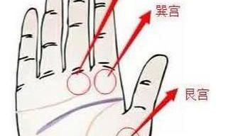 百年一遇的掌纹，生出来便是亿万富豪的命