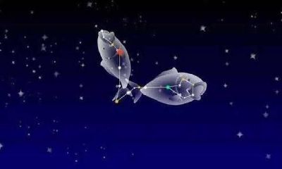 双鱼座：被造物主授予了技能的“新宠儿”