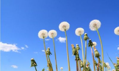 四柱八字铁口直断技巧之宫位相冲的像意解析