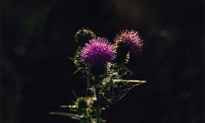 2022壬寅年农历十二月初九开工可不可以？