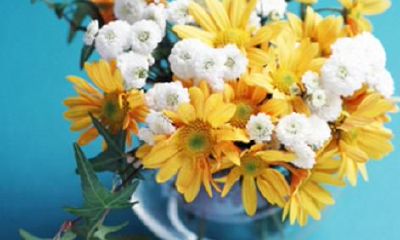 朱姓名字女孩你知道有几个