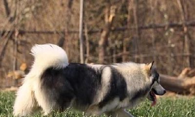 姓吴的女孩名字精选