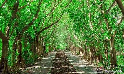 老祖先留有的八字口诀，算八字，通俗易懂，神准！