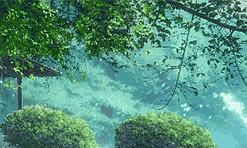 今年运程甲木、乙木男女：福星高照