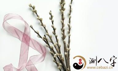 天秤座——看懂这五点，追求平衡的天秤座也会对你高看一眼