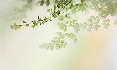 腊月能不能剪头发？农历十二月不能做什么