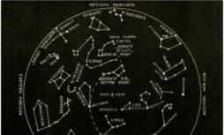 酒后百态，这个星座居然千杯不倒。