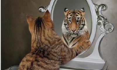 家中镜子摆放得当，家里财运才会越来越旺！