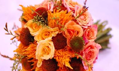 找一找杜姓女孩名字