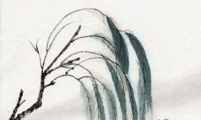 2019年属虎人11月结婚好不好，11月结婚吉日