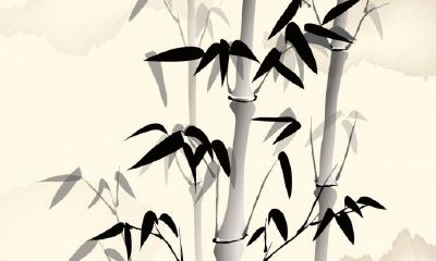 2019年属虎人6月结婚好不好，6月结婚吉日