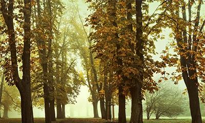 今年十月有没有农历三十？农历十月的五行属什么