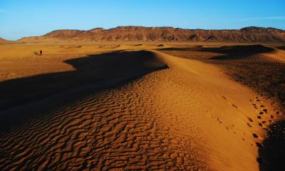 2019年属虎结婚吉日有哪些