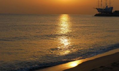 2019年属虎人结婚好不好，几月适合结婚