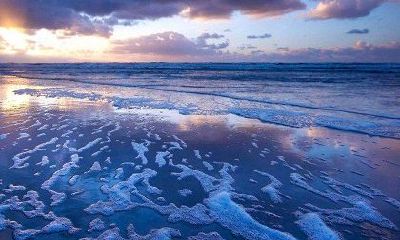 属虎女和属鸡男结婚好吗