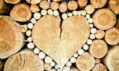 松柏木和大林木相克吗？松柏木命最佳配偶