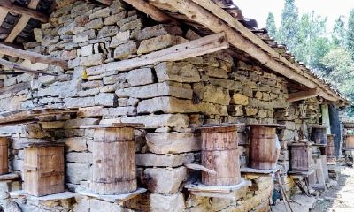 农村自建别墅注重风水福地，蜜峰建巢注重內外标准，养蜂技术妙用