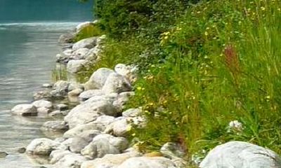 有关于郑姓女孩名字