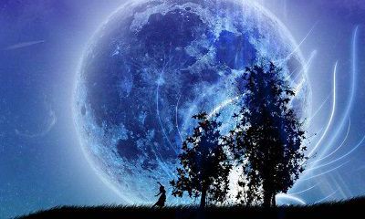 属虎女和属牛男结婚好吗