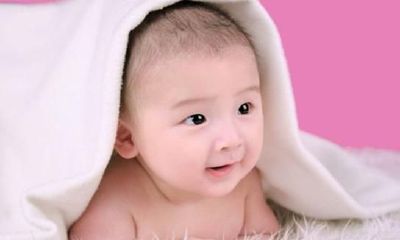 陶姓男孩名字有哪些