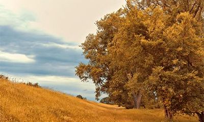 女命带暗禄是什么意思？是靠男人吗？