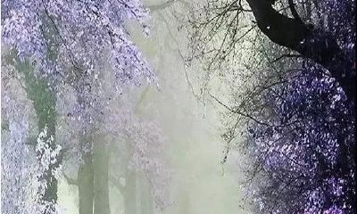 古传信息推算法之：八字推命