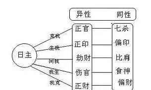 八字入门之十神“家族谱”