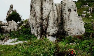 3分钟排八字的技巧