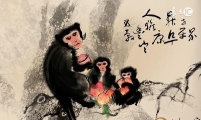 生肖属猴的人不同年份的属猴人不一样的运气！