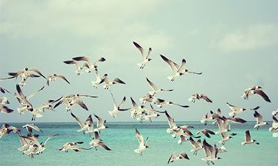 魁罡命的人为什么没有财运？八字神煞之魁罡详解