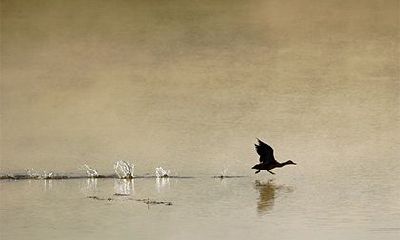 有孤辰寡宿的不是凡人 有什么说法？