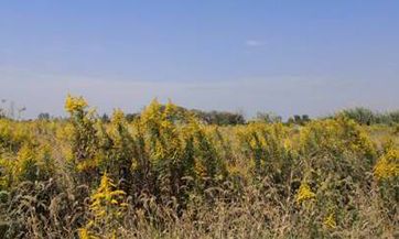 2022最新大雪节气有哪些习俗 2020年大雪节气