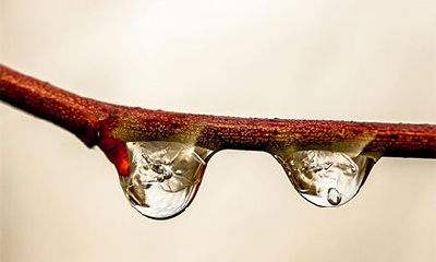 生于庚申日为什么很好？庚申日生人的喜忌