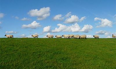 戊申日柱女命为什么是寡妇命？戊申日柱女命看配偶
