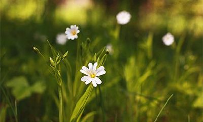 2022年壬寅年农历十二月二十九日子吉利吗？有几个吉时？