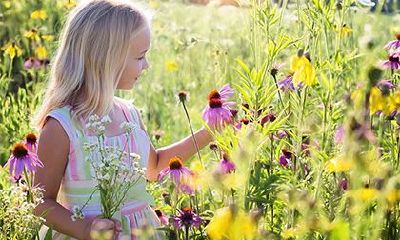 女命丁未日会守寡吗？守寡的八字有哪些？