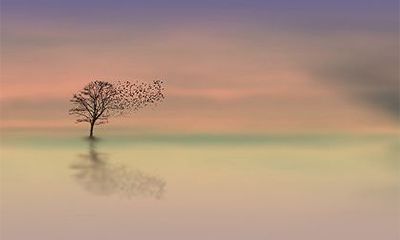 金舆贵人在哪柱最好？金舆贵人正确查法