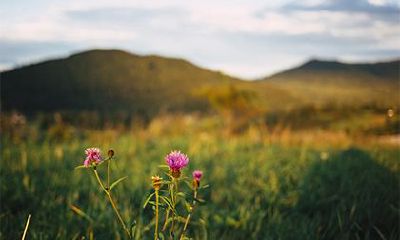 命带咸池桃花的男人好不好？日柱有咸池一定会出轨吗？