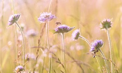 2022年农历十二月十九日是黄道吉日吗？