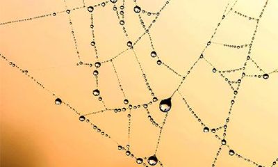 辛亥日生于各月十二时辰论命