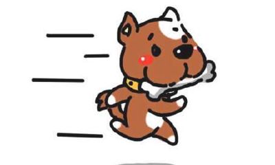 属狗人养狗好吗 属狗人养狗的相关风水